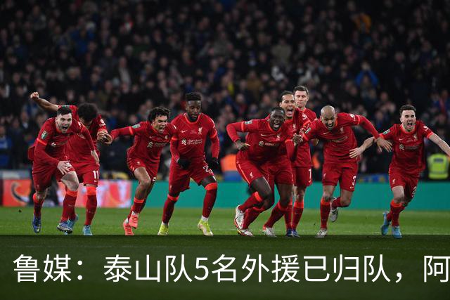鲁媒：泰山队5名外援已归队，阿尔瓦罗6月份复出难度比较大